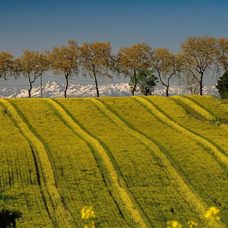 Le Couloumier Cote *